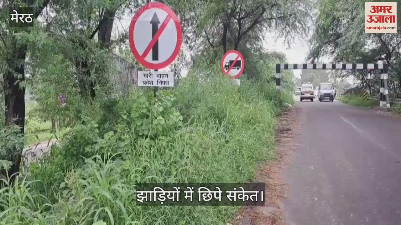 Signal signs hidden in bushes on Hindon river bridge, risk of accidents increased