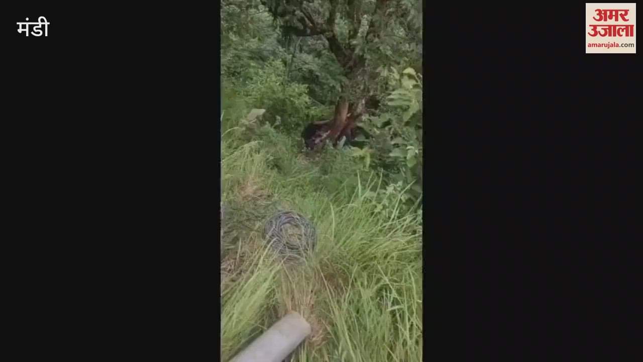 Mandi There will be no water supply in Mandi city today main pipeline broken near Mathyani