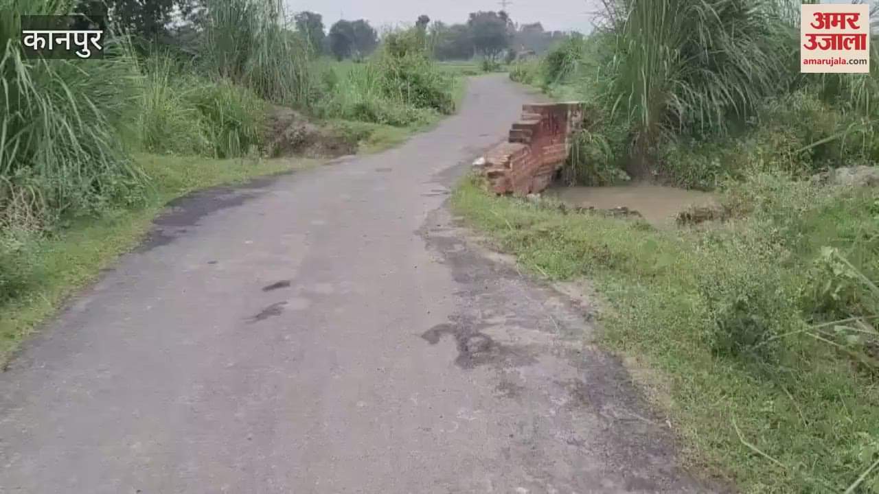 railing of the Bambi broke on the curved turn in Amour Baraigarh road