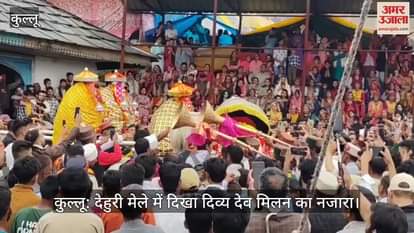 A divine meeting of Gods was seen in Dehuri fair