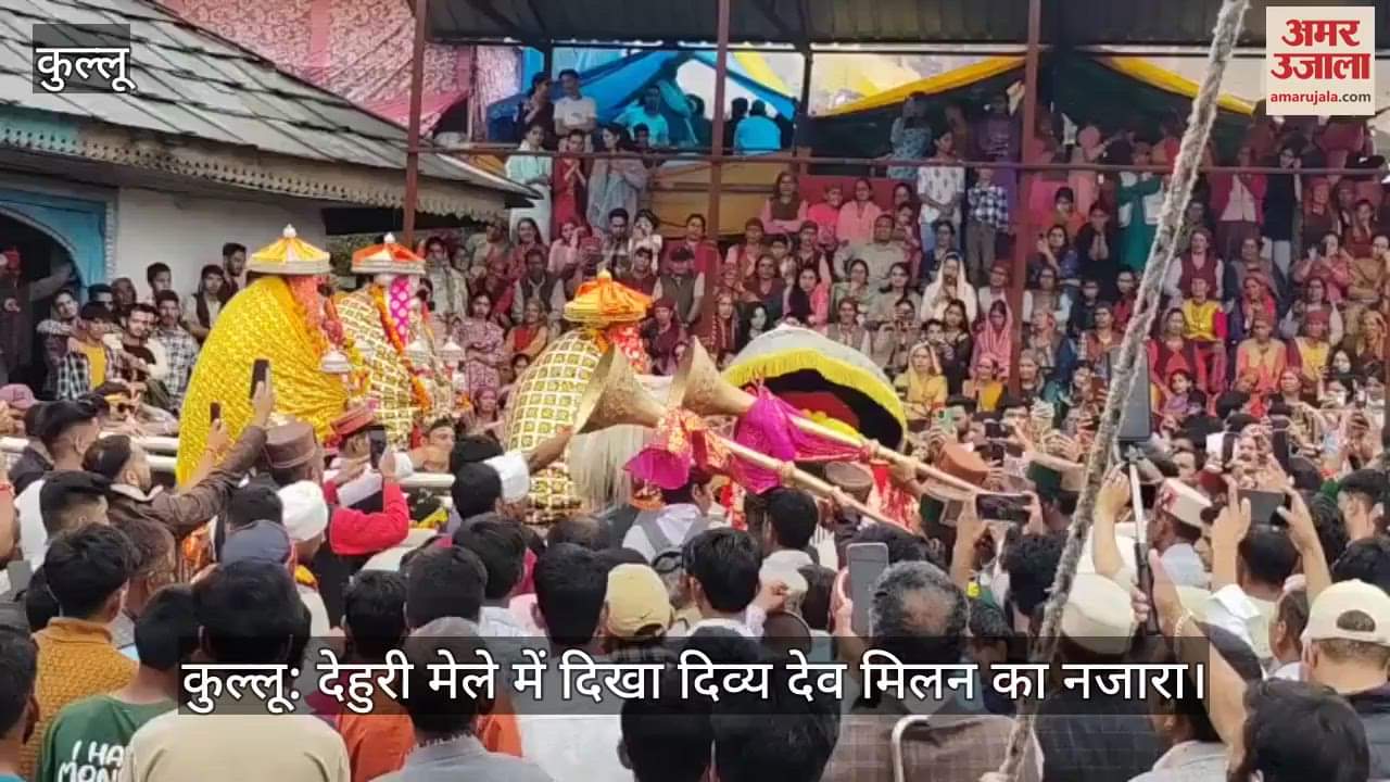 A divine meeting of Gods was seen in Dehuri fair