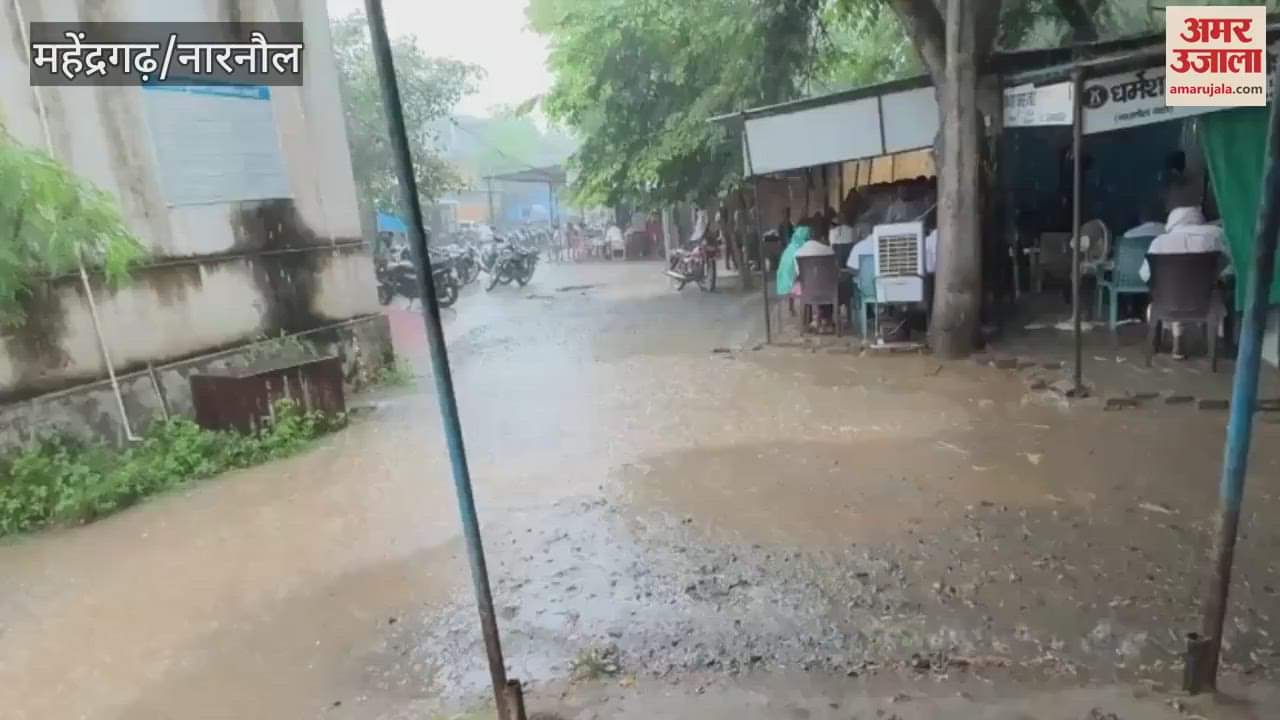 Light drizzle in Narnaul, heavy rain in Nangal Chaudhary
