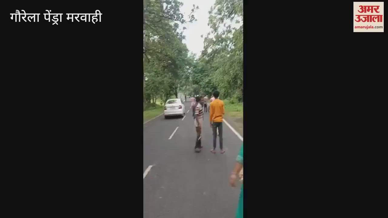 group of four elephants split into groups of two in Marwahi