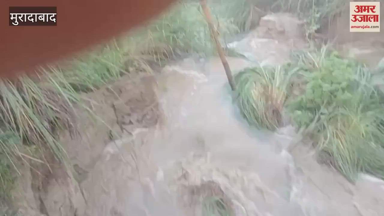 embankment of Chirwara village was broken, flood waters are rapidly moving towards the village, troubles have increased