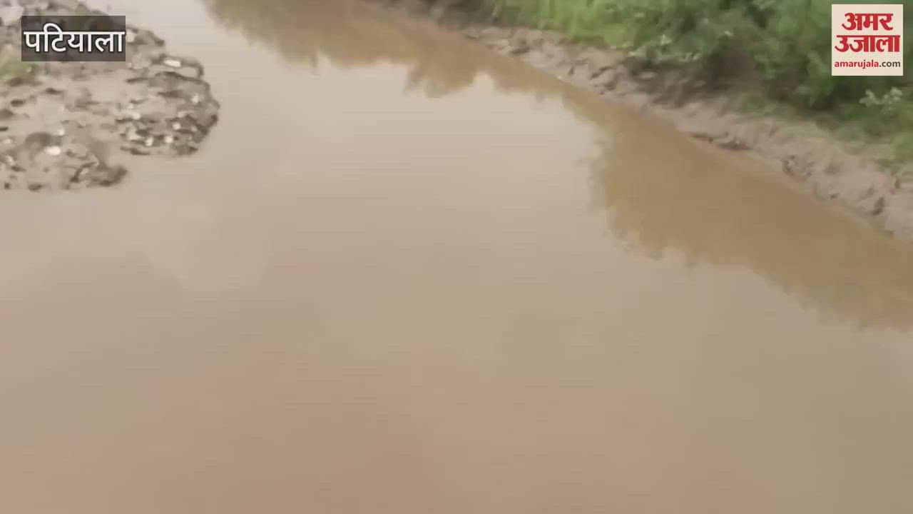 A 12-year-old boy who went to take bath in Suye in Rajpura got washed away, search is on