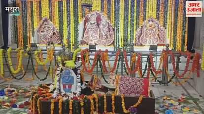 joy of Janmashtami in the temples of Braj