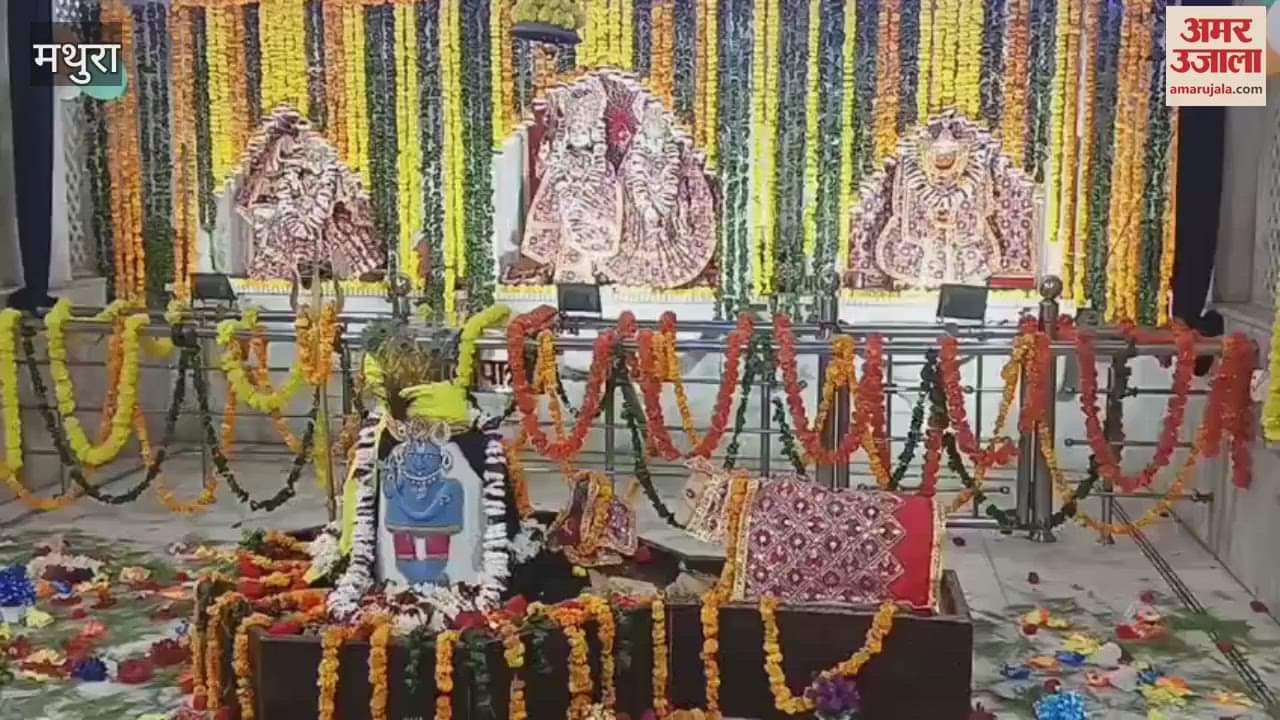 joy of Janmashtami in the temples of Braj