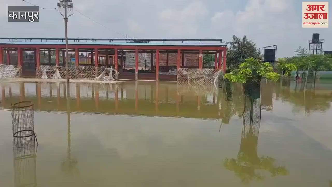 Ganga flowing above the danger mark, water filled in Kanha Gaushala