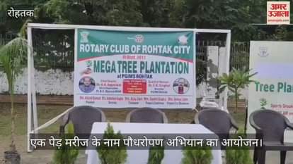 Tree plantation campaign in Rohtak