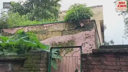 The buildings of the animal hospital and forest department are dilapidated, danger looms every moment