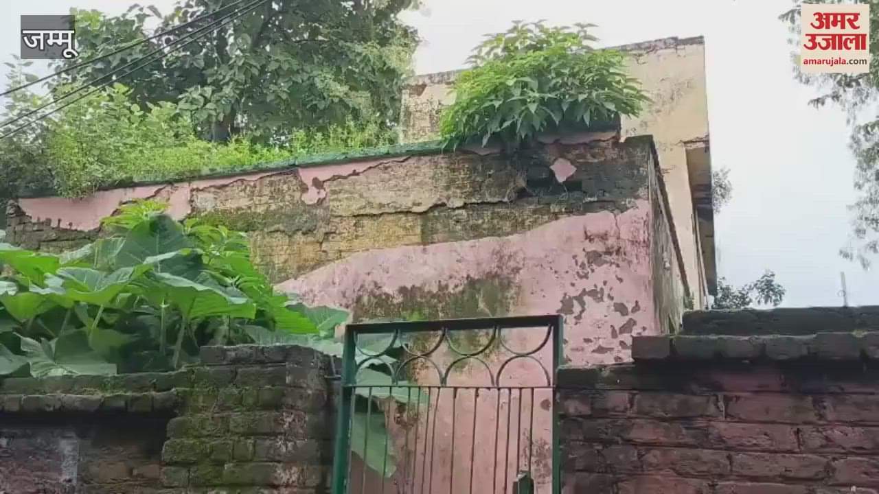 The buildings of the animal hospital and forest department are dilapidated, danger looms every moment