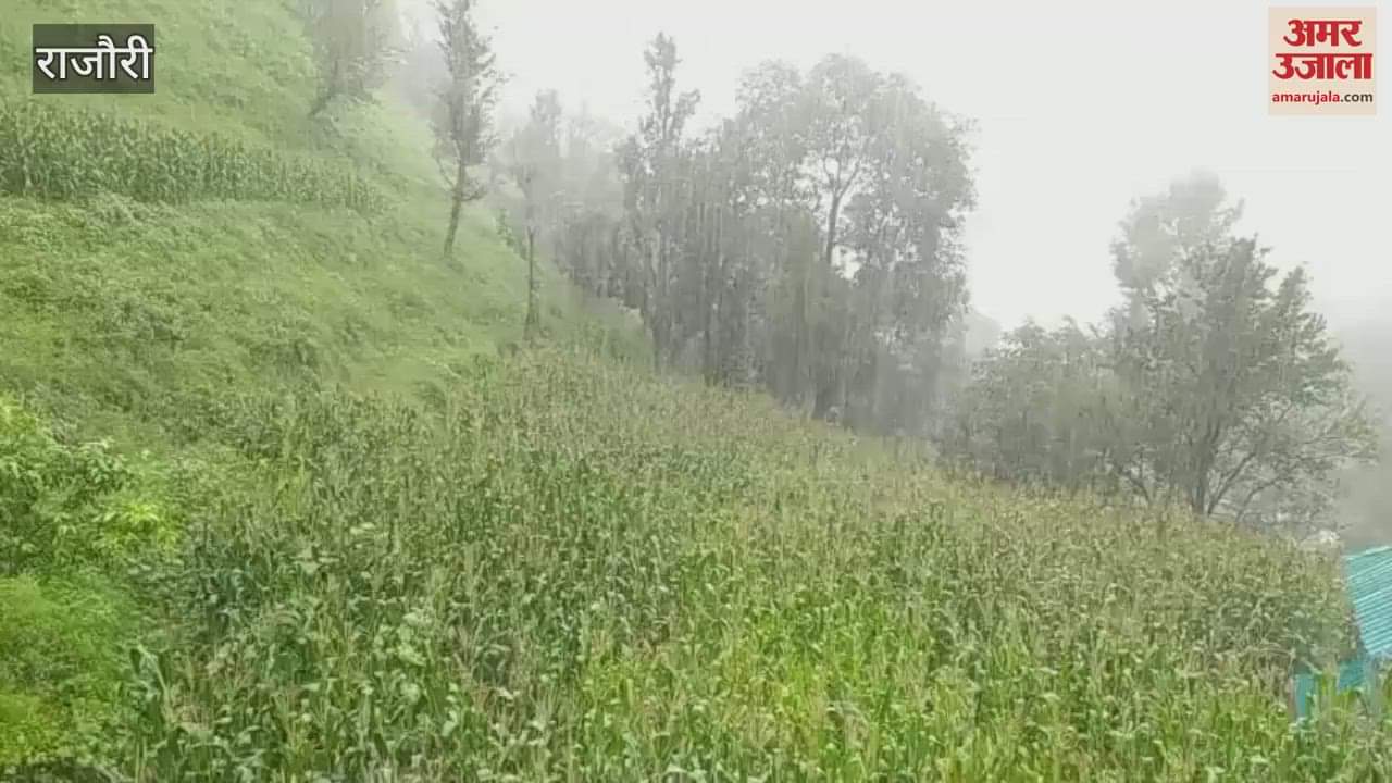 Torrential rains in Rajori have disrupted life, landslides have halted the pace