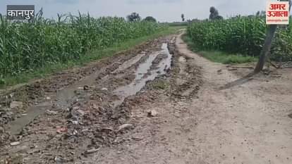 plight of the road connecting Dahliya village of Shivrajpur area to Migdha Niwada village
