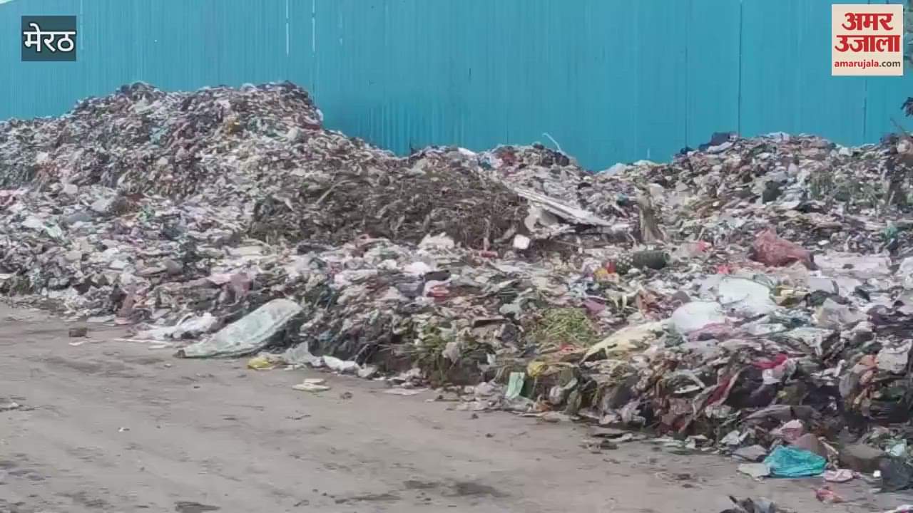 Meerut: Garbage spread on divider road, traffic stopped