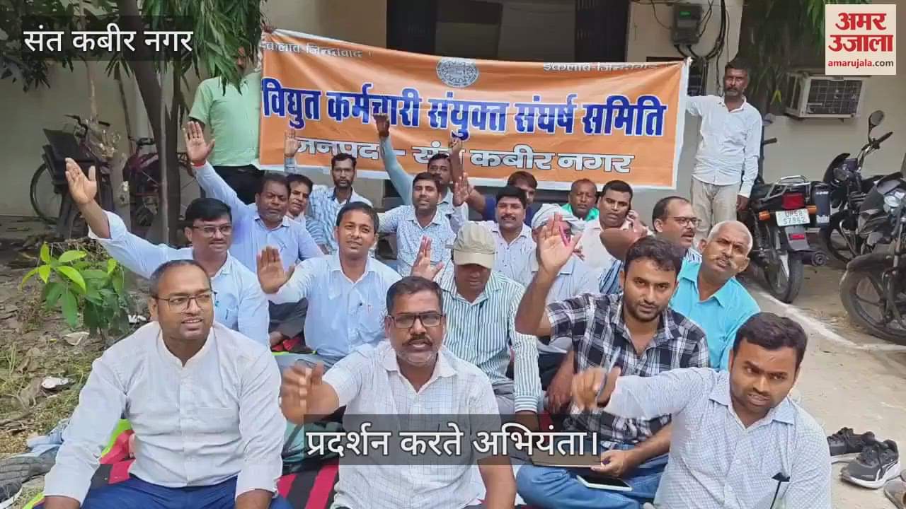 Electricity workers demonstrated against privatization