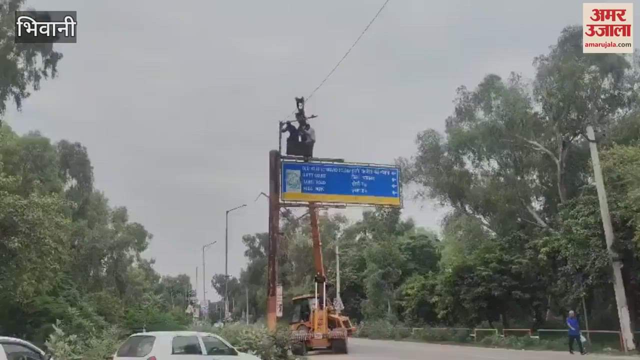 The work of repairing the damaged street lights has started by the Municipal Council in Bhiwani