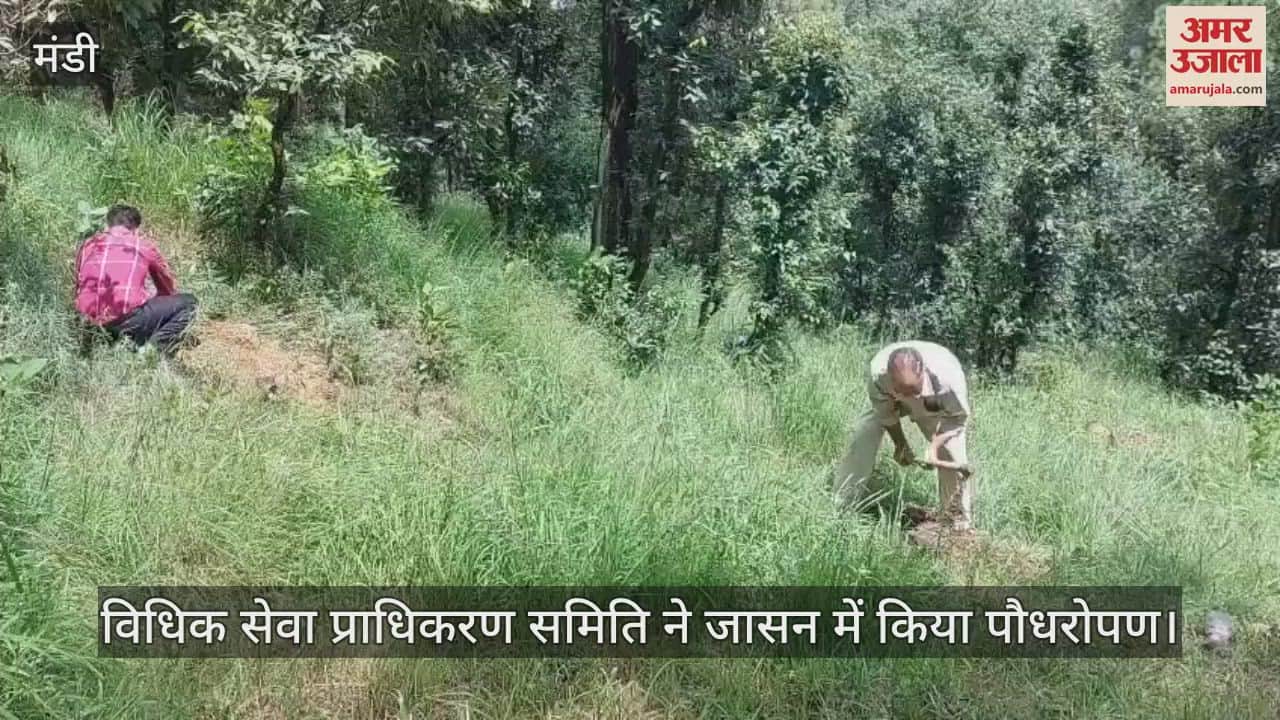 Legal Services Authority Committee planted trees in Jassan