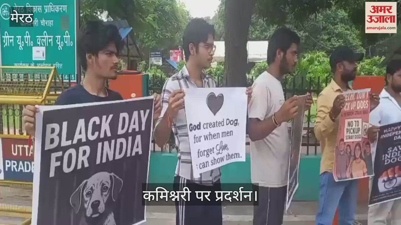 Demonstration at the Commissionerate demanding protection for stray dogs, many NGOs gathered