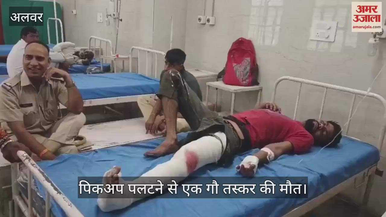 Cow smugglers' pickup overturned on Delhi Mumbai Expressway