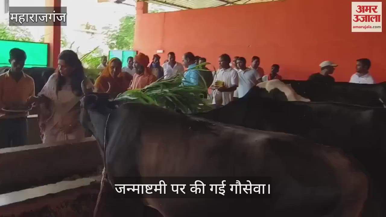 Worship was done in the cowshed on Krishna Janmashtami