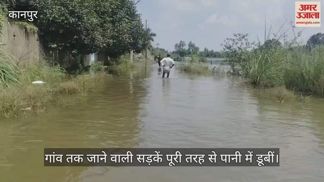कानपुर में गंगा में बढ़ा जलस्तर, कटरी के गांव जलमग्न, किसानों की फसलें बर्बाद