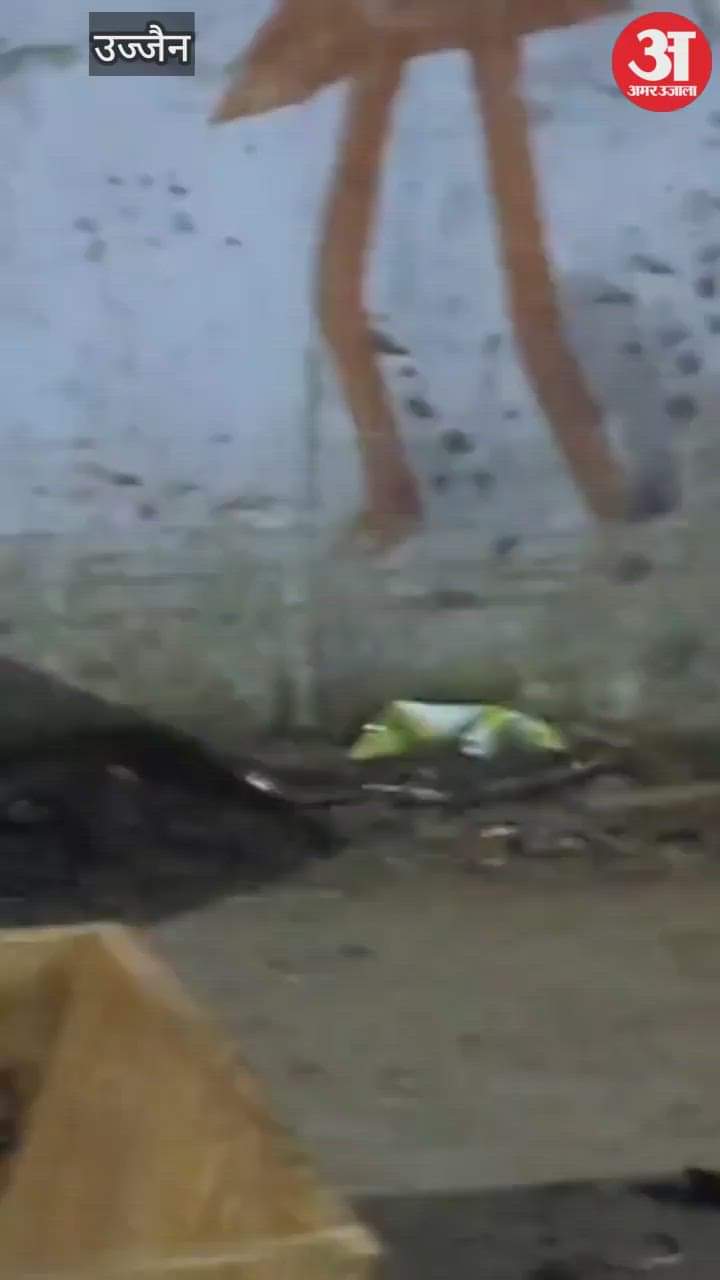 Anganwadi in Ujjain in which more snakes than children,  Anganwadi workers have run away in fear and locked it