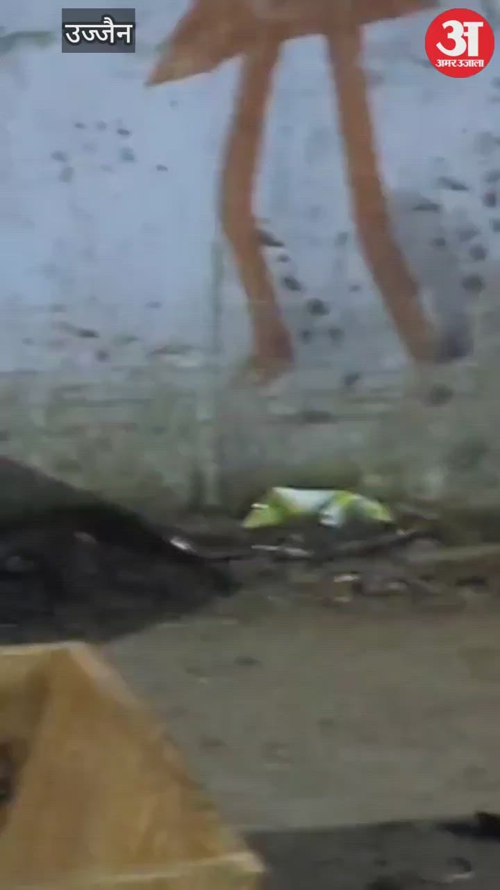Anganwadi in Ujjain in which more snakes than children,  Anganwadi workers have run away in fear and locked it