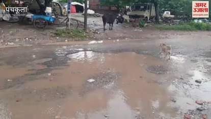 After the rain in Panchkula, water accumulated on the roads in Industrial Area Phase 2