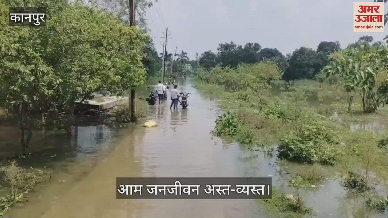 कानपुर में गंगा नदी उफान पर, कटरी के गांवों में बढ़ा जलस्तर