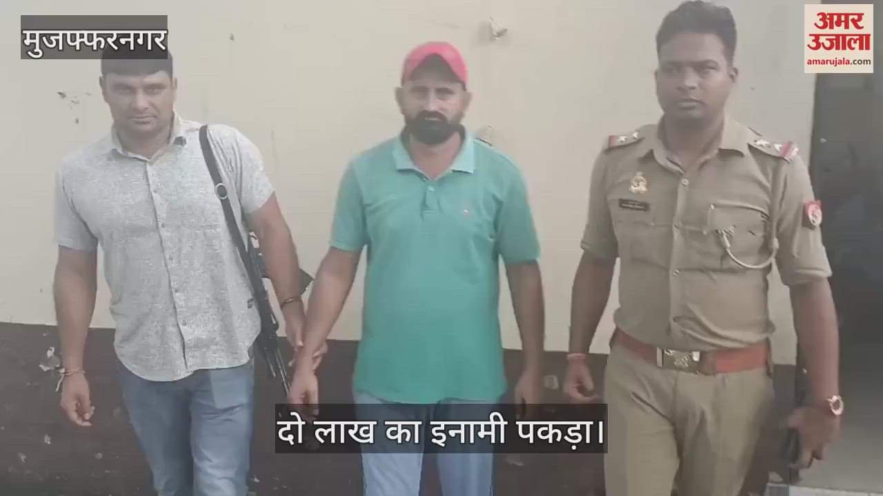 Meerut STF arrested Harish, wanted for 12 years and carrying a bounty of Rs 2 lakhs, 34 cases registered against him