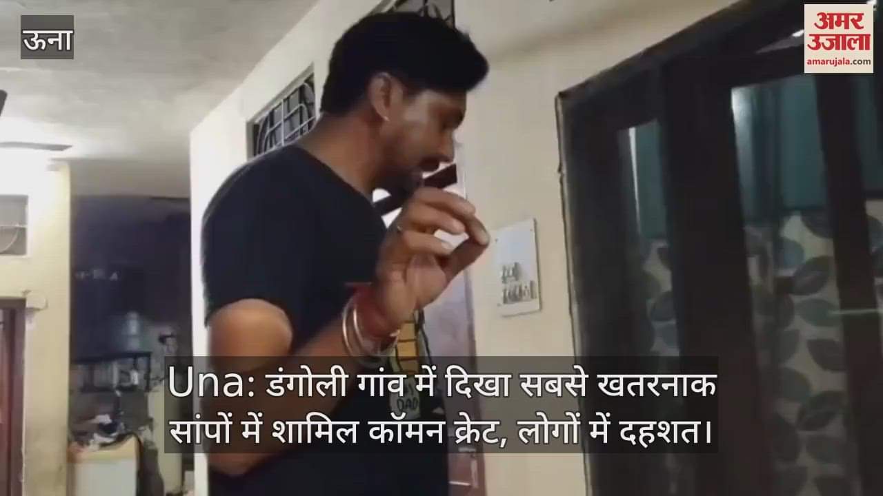 Common Krait, one of the most dangerous snakes, was seen in Dangoli village, people are terrified