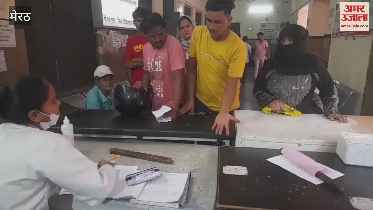 Meerut: People upset due to stray dog bites, lines in hospitals