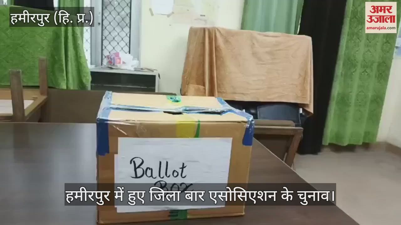 District Bar Association elections held in Hamirpur