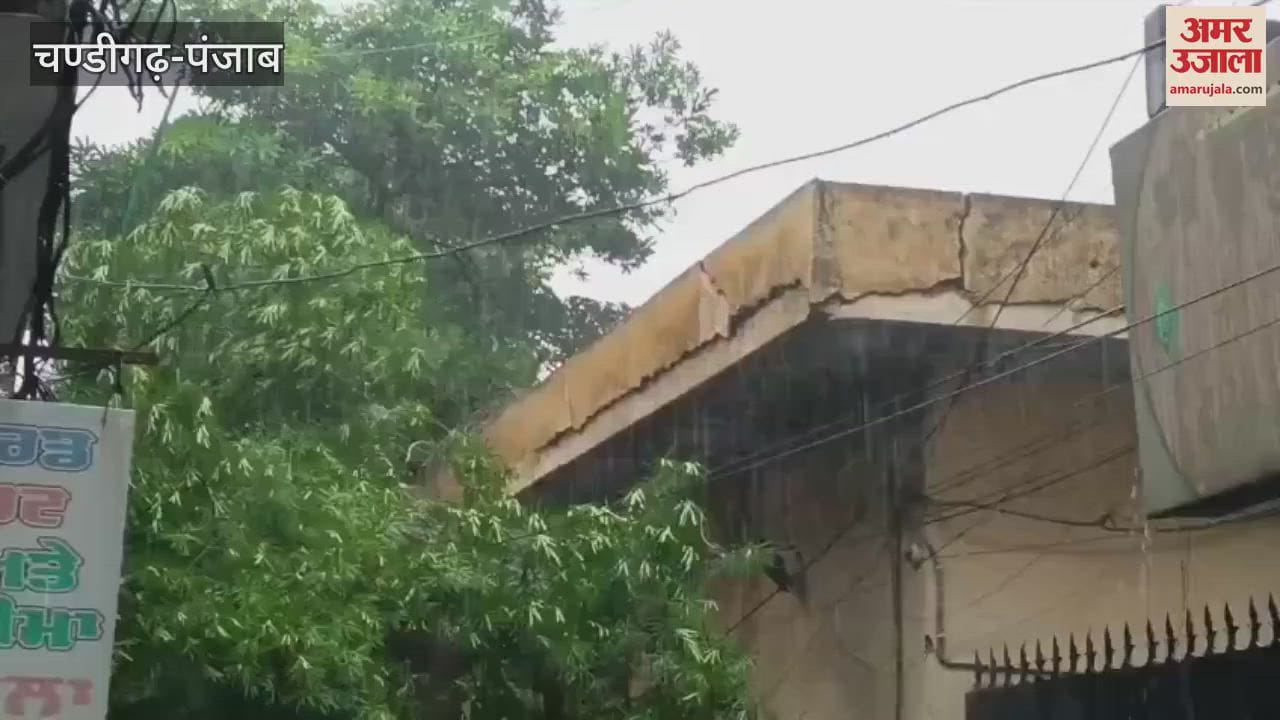 Rain in Moga brought relief from humidity and heat