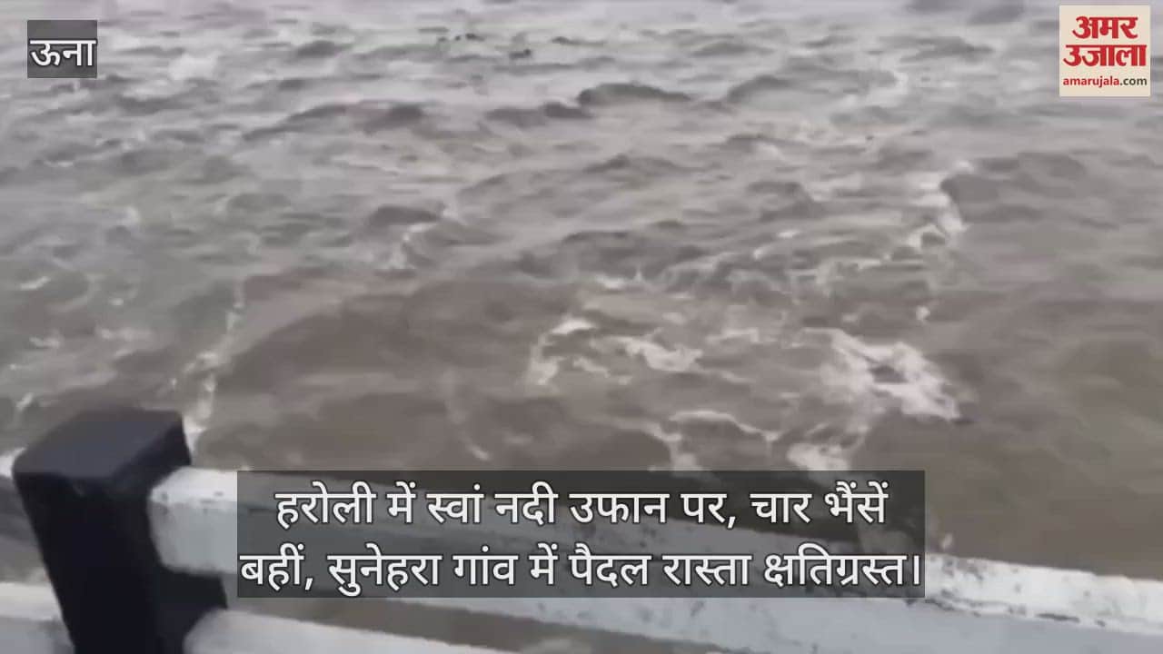 Swan river in Haroli is in spate, four buffaloes washed away, footpath damaged in Sunehra village