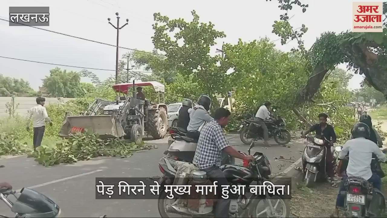 VIDEO: पेड़ गिरने से मुख्य मार्ग हुआ बाधित, राहगीर हुए परेशान