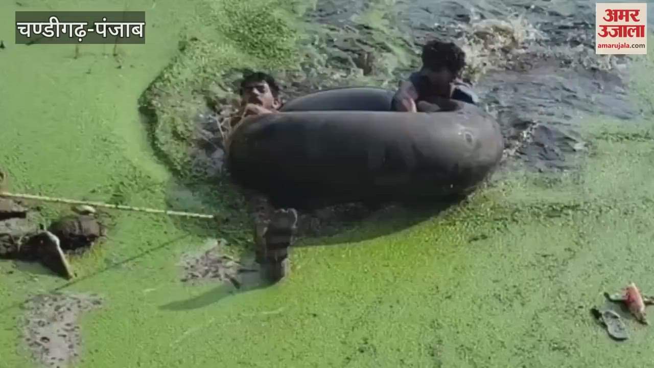 Fearing police youth jumped into a pond in Moga and died