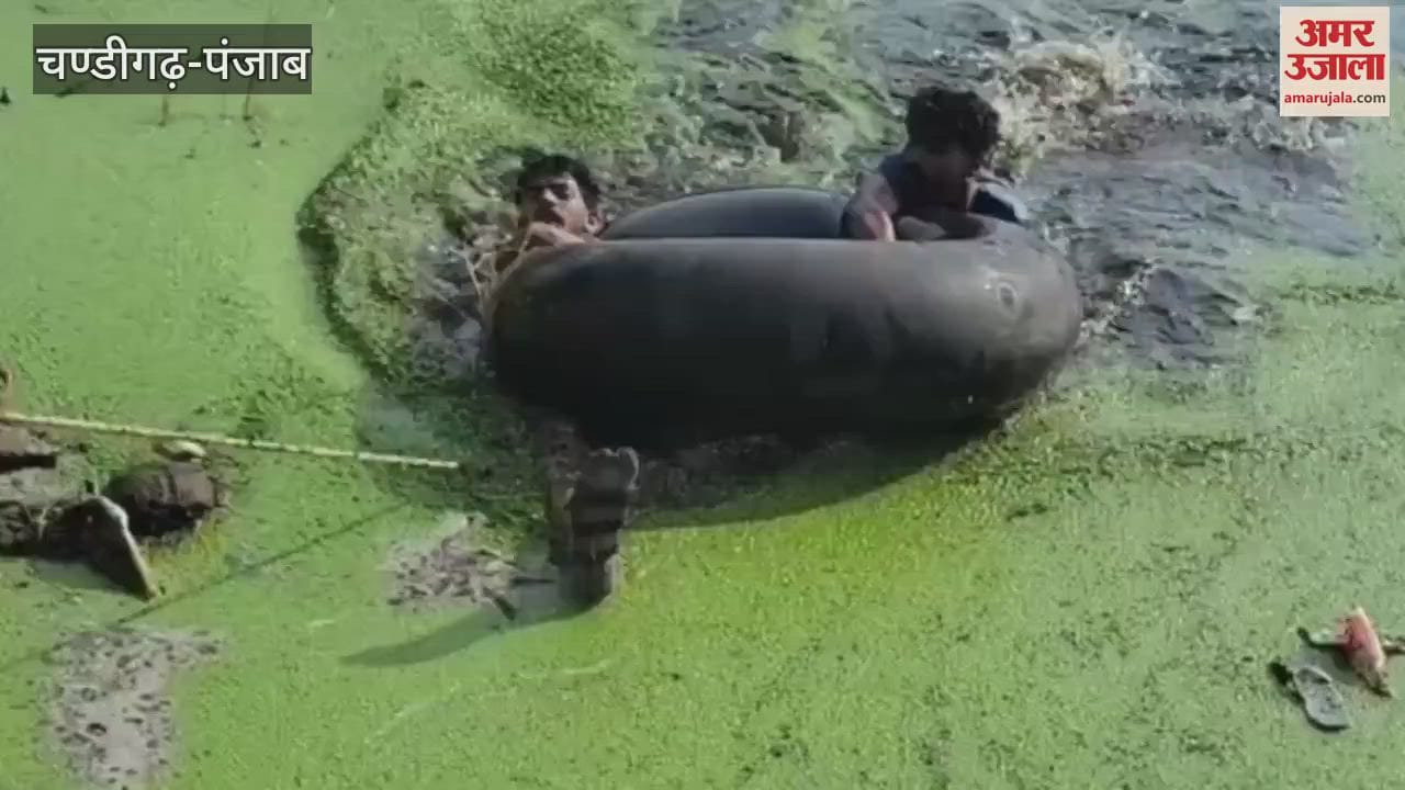 Fearing police youth jumped into a pond in Moga and died