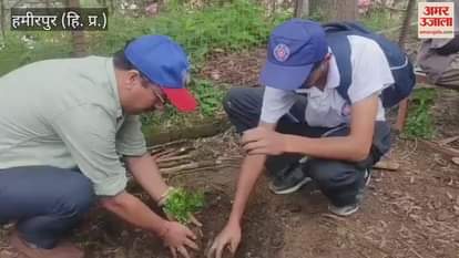 Hamirpur Successful completion of mushroom production workshop at Government College Hamirpur