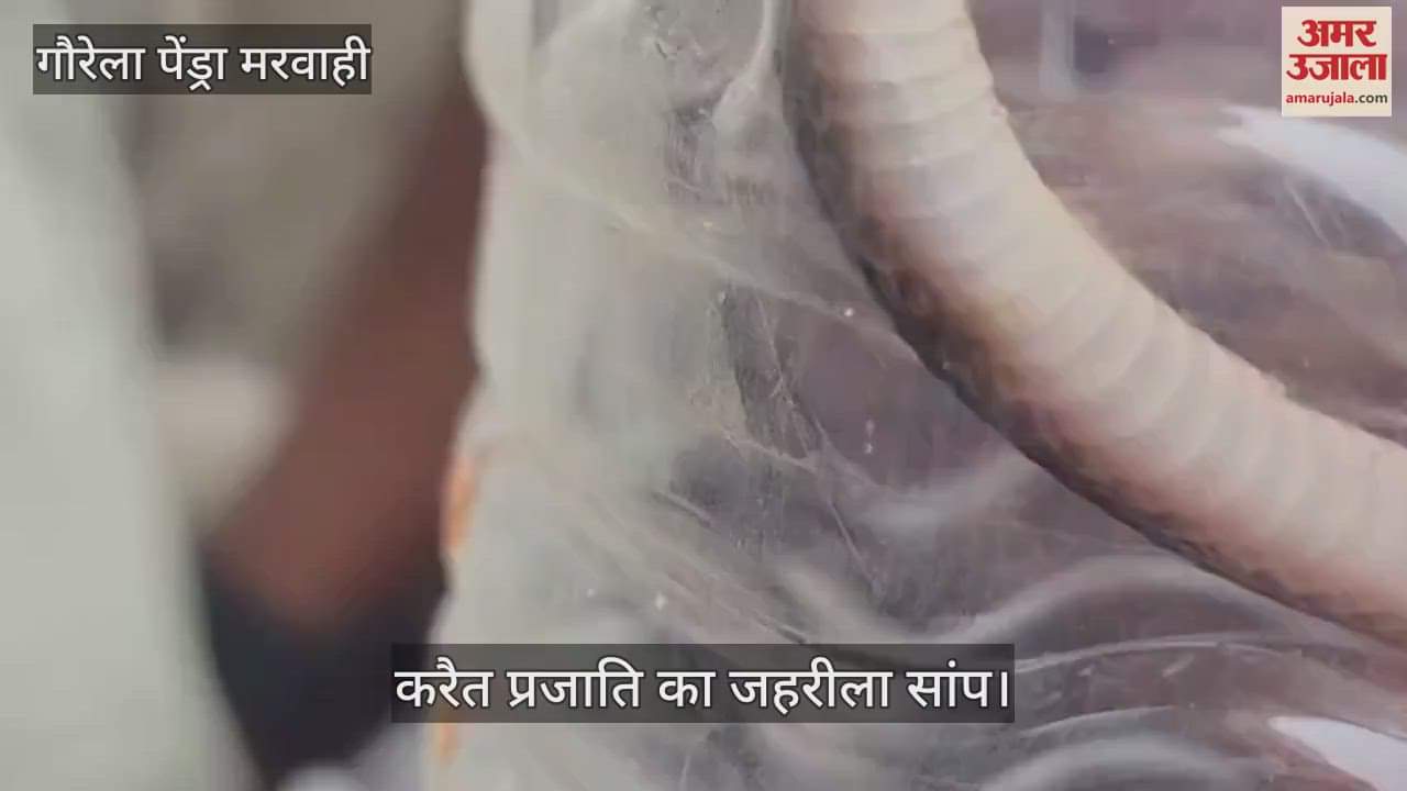 There was chaos in GPM when a poisonous snake of the krait species came out from a bike