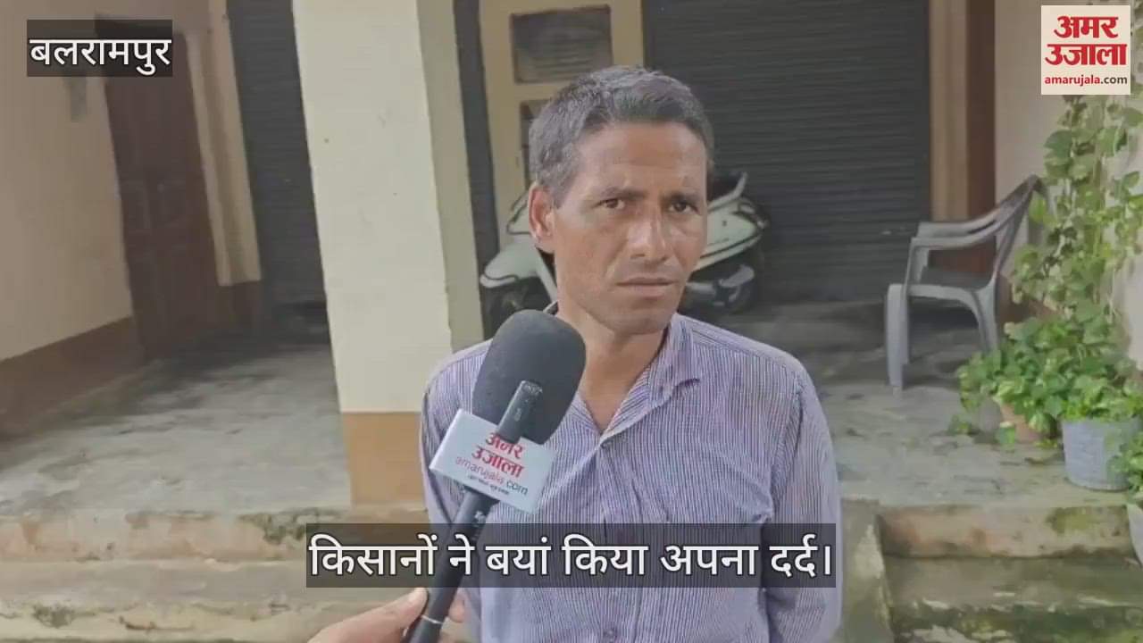 VIDEO: किसानों ने बयां किया दर्द, बोले- नहीं मिल रही यूरिया, पीली पड़ रही फसल