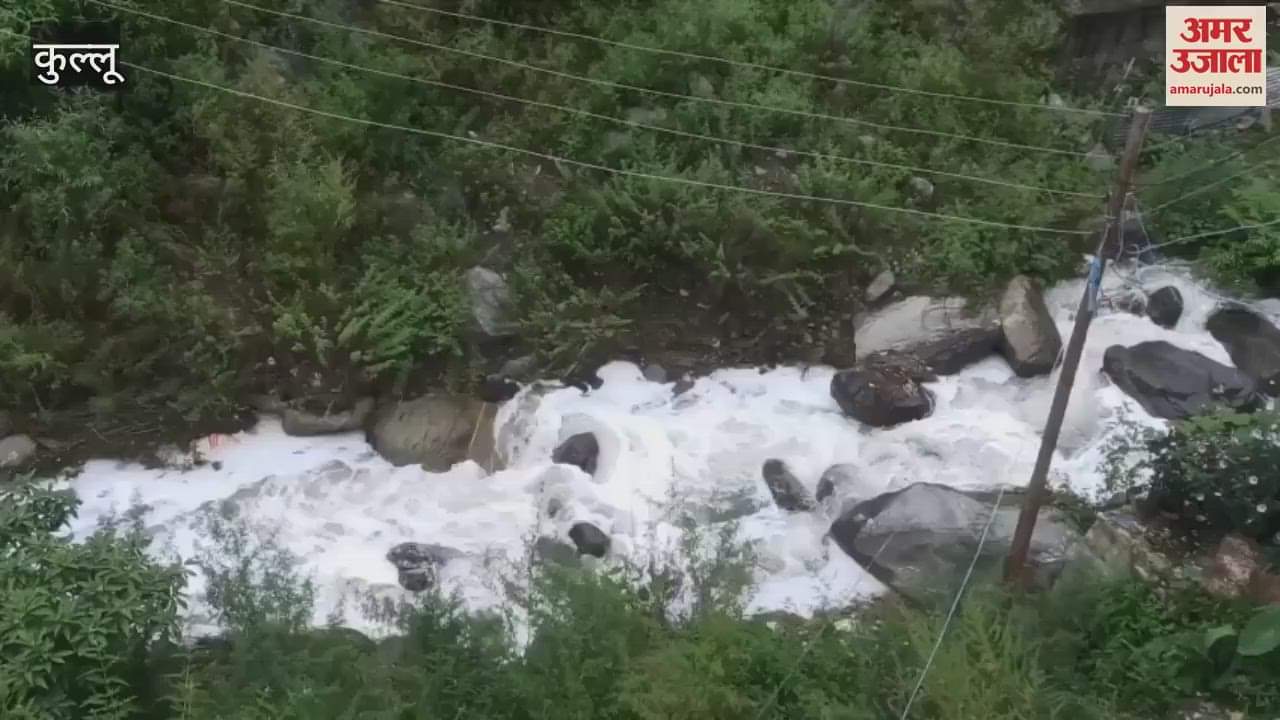 Kullu Milk got spoiled as soon as it reached Haripur Chilling Plant when it flowed into the ditch the entire water turned white