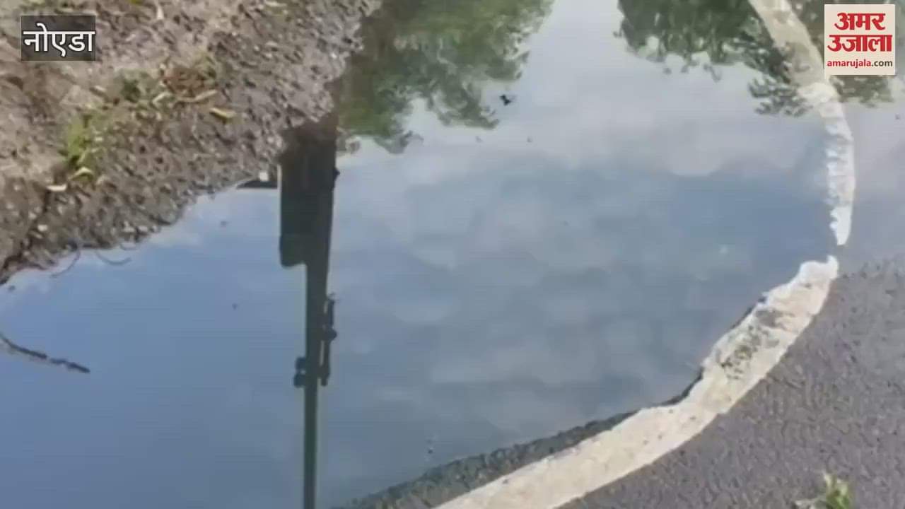 Residents of Sector Gamma of Greater Noida troubled by dirty sewer water