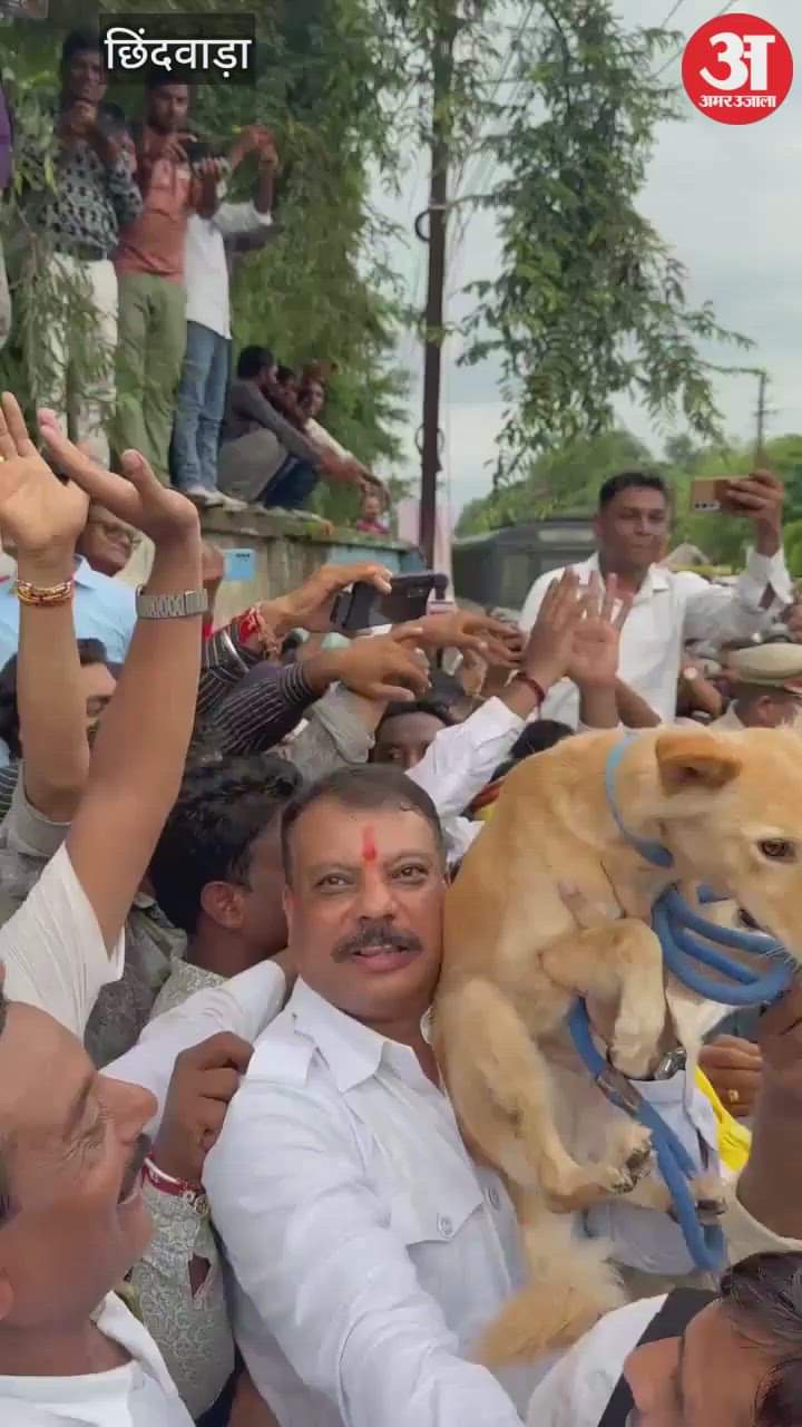 Congress holds protest in Chhindwara, submits memorandum to dog if collector fails to reach