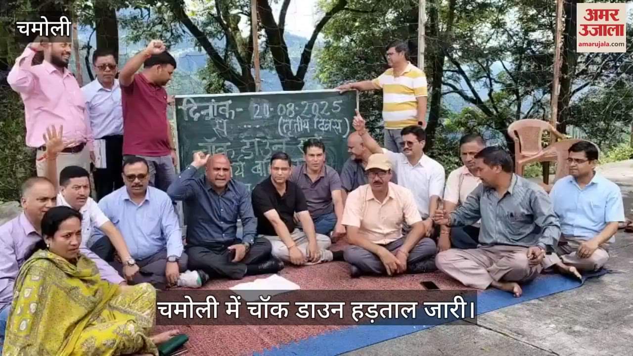 Chalk down strike continues, government teachers boycott classes and protest