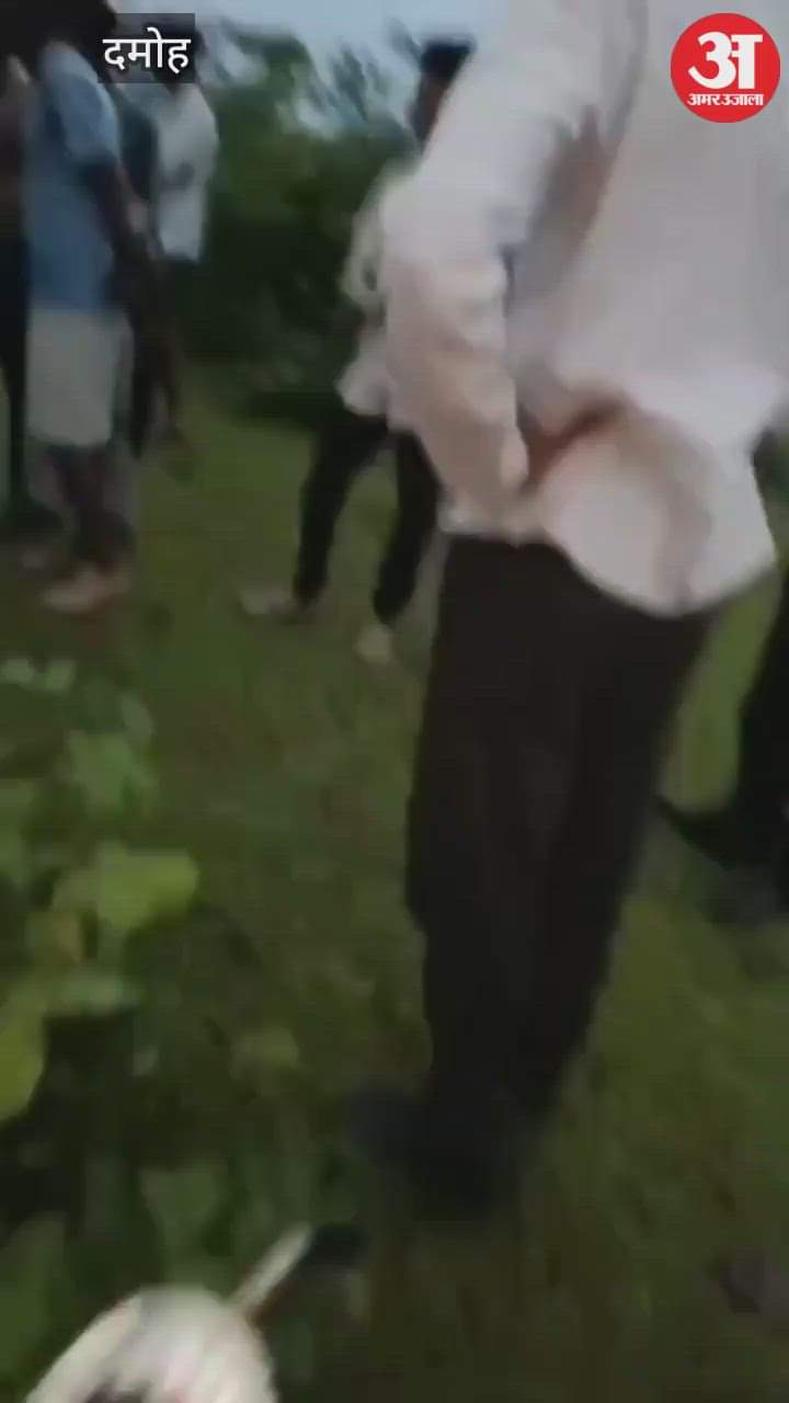 Damoh News: 21 goats tied under a tree died due to lightning