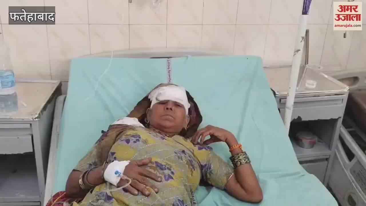 In Fatehabad, the driver fell asleep, the Bolero overturned, five people including three women from Sirsa were injured