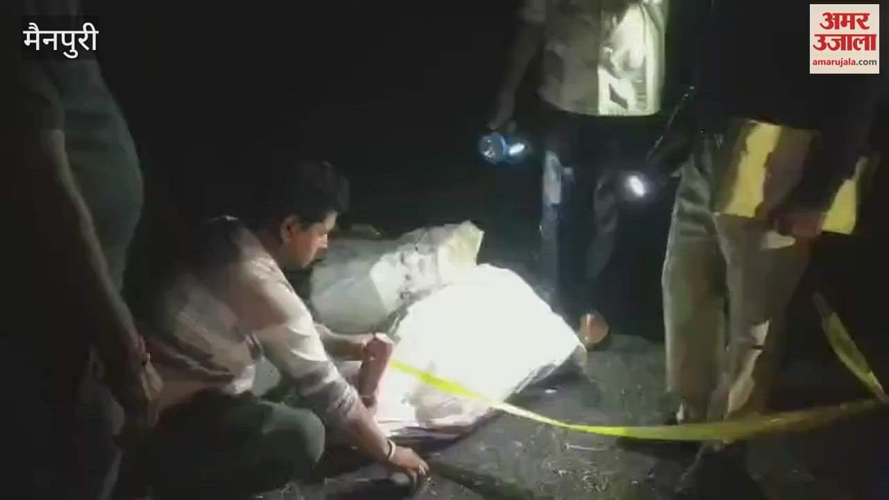 One thief got shot in the leg in a police encounter