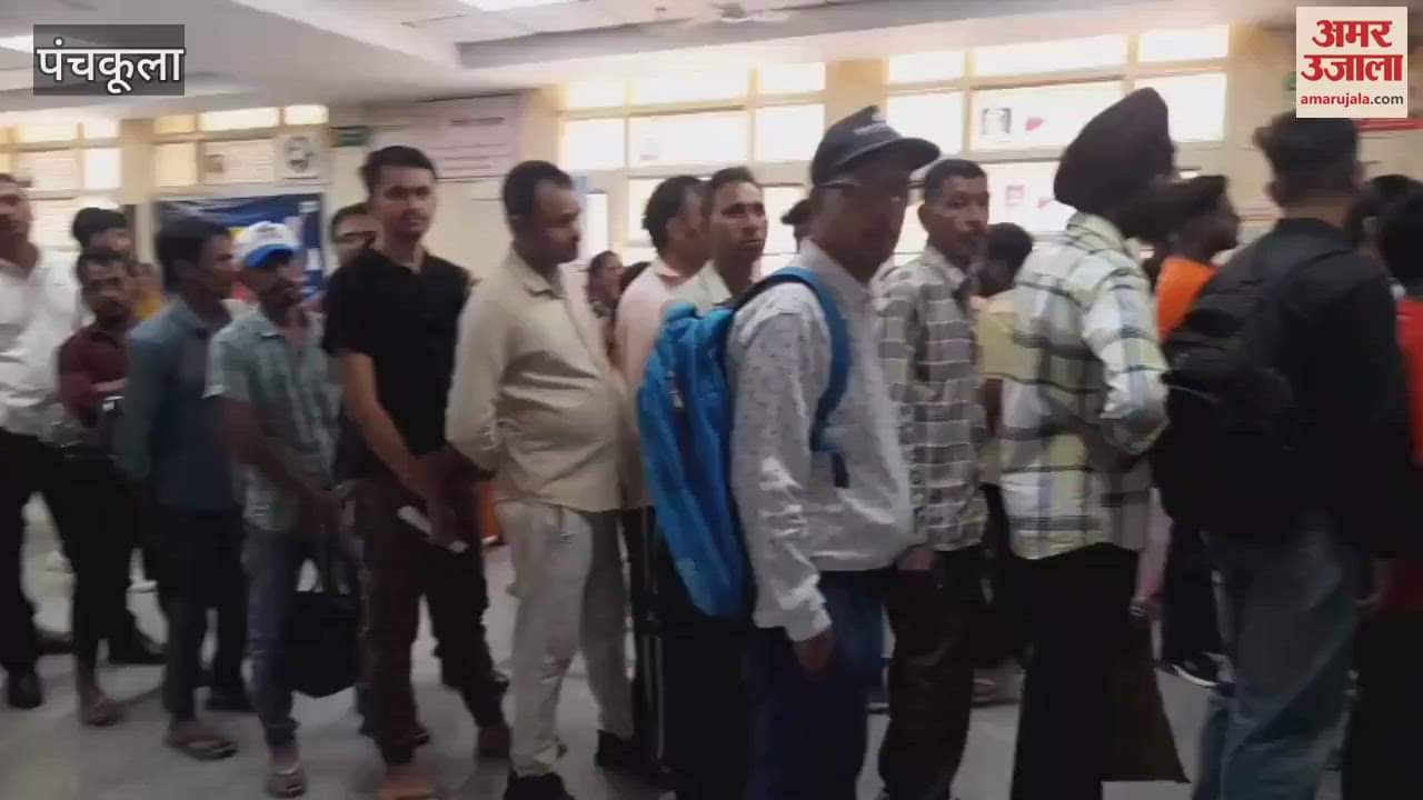 Server down in Civil Hospital Panchkula