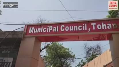 terror of stray animals is increasing in Tohana of Fatehabad, common people are troubled